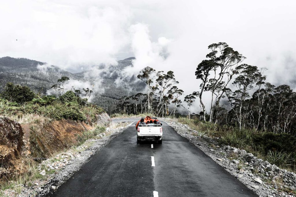 back view of a pick-up car on road with trees and clouds