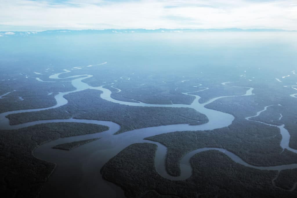 Papua jungle and rivers from above