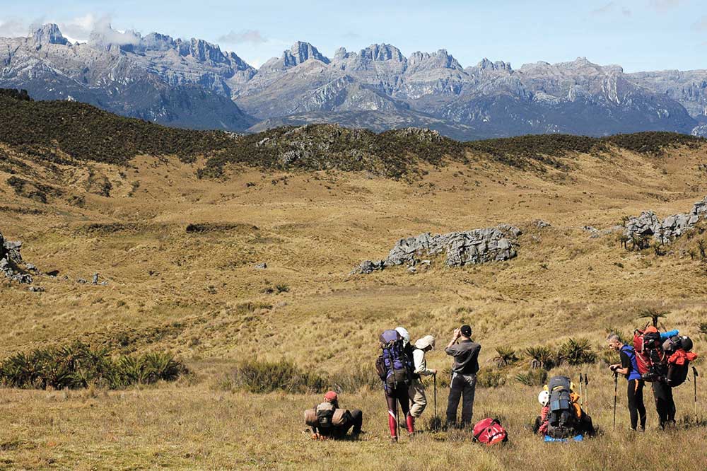 Gruppe Wanderer vor der Bergkette der Carstensz Pyramide