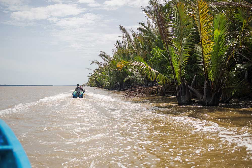 river sky mangrove coastline