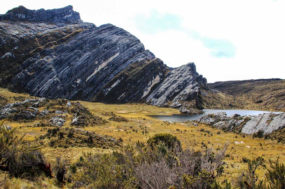 zebra wall Carstensz pyramid