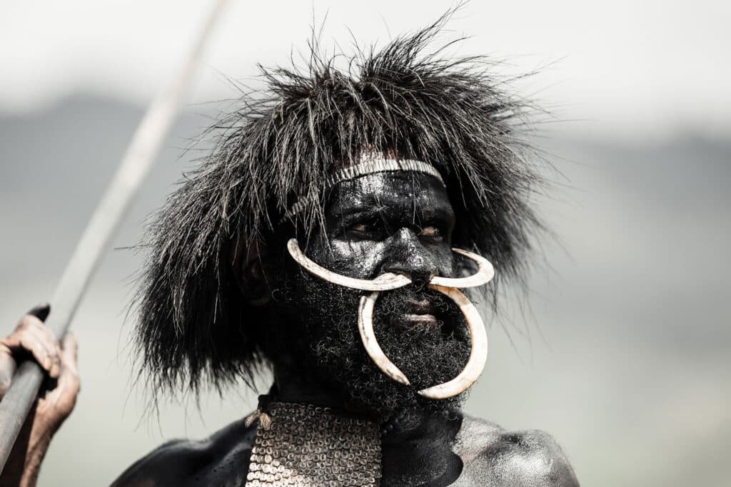 dani tribe man portrait with tusk nose piercing and spear