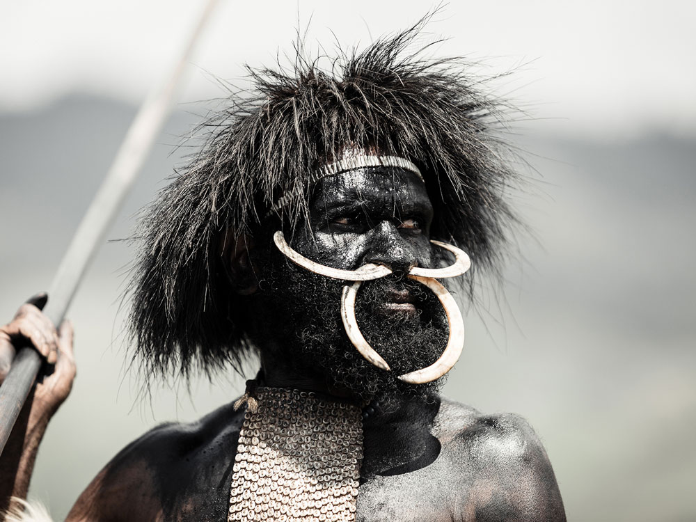 dani tribe man portrait with tusk nose piercing and spear