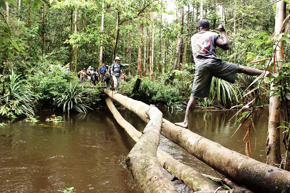 tree trunk over river with people