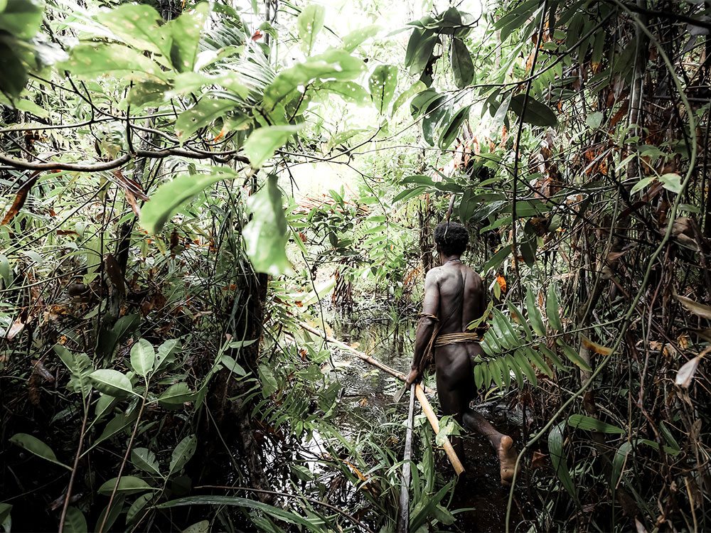 korowai tribe man back view walking through forest