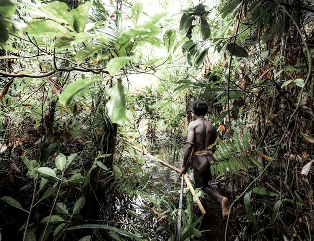 Korowai man walking through forest back view