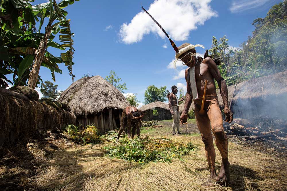 man from dani tribe standing on grass inside village