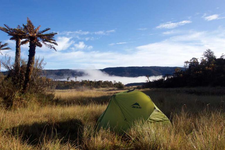 Tent camp on the way to Mt. Trikora