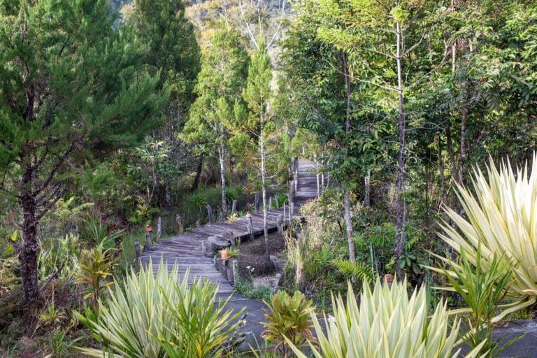 Inner garden at The Baliem Valley Resort